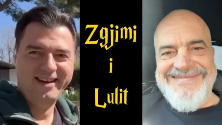 Rama tallet me Bashën: 100 zogj pulash kundër një luani. Ik tani artist, merru me bufin se po t’i kullufit demokratët (VIDEO)