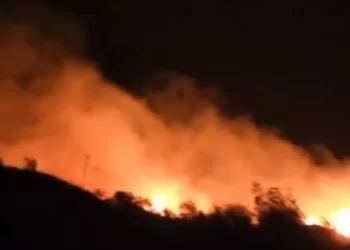 Zjarr në Tragjas të Vlorës, era e fortë vështirëson situatën