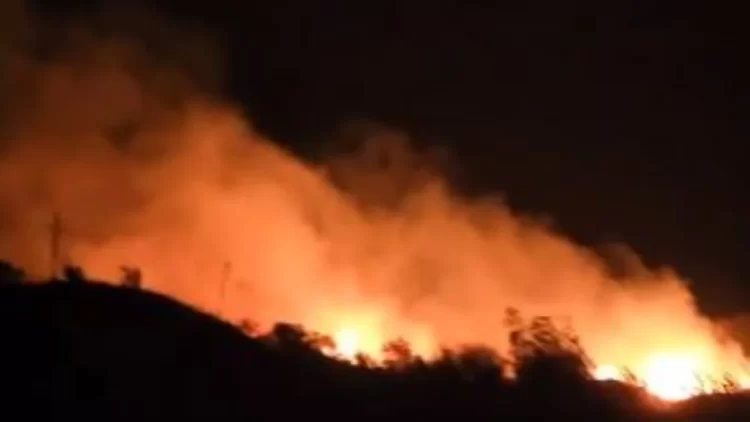 Zjarr në Tragjas të Vlorës, era e fortë vështirëson situatën