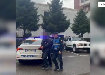Mbante armë në banesë, arrestohet një burrë në Këlcyrë (VIDEO)