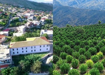 Kanabisi do rikthehet në Lazarat, një prej 10 zonave ku do kultivohet për qëllime mjekësore