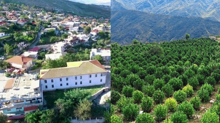 Kanabisi do rikthehet në Lazarat, një prej 10 zonave ku do kultivohet për qëllime mjekësore