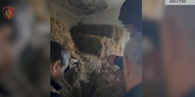 Vodhën një shtëpi në Këlcyrë, dy të arrestuar, arma ishte fshehur brenda kasolles me bar (VIDEO)