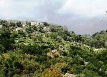 Delvinë/Përkujtohet 225 vjetori i Kuvendit të Besës, moment historik për Shqipërinë