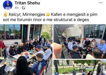 Takimi në Këlcyrë, Tritan Shehu “sakaton” gjuhën shqipe