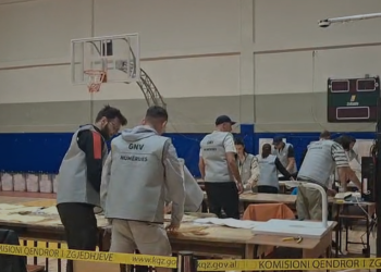 Nis numërimi i votave në Përmet (VIDEO)