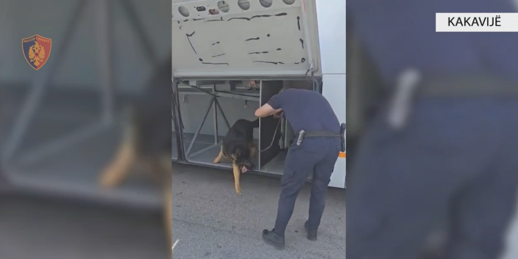 3 të arrestuar, si u zbuluan 74 mijë euro dhe 15 dokumente false në Kakavijë (VIDEO)