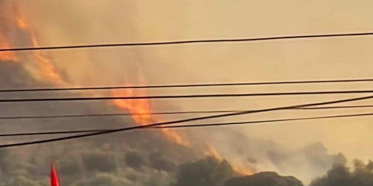 Zjarr në Ksamil pranë një resorti, zjarrfikëset po punojnë për shuarjen