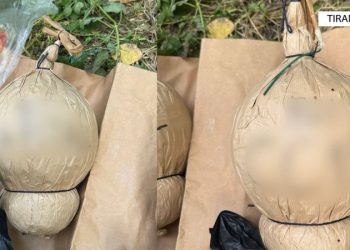 Do të përdoreshin gjatë ndeshjes Shqipëri-Serbi? Policia zbulon lëndë piroteknike te Universiteti Politeknik