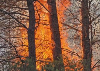 Shuhen 20 vatra zjarri në vend, Ministria e Mbrojtjes: Vetëm 2 aktive