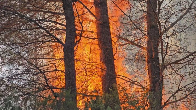 Shuhen 20 vatra zjarri në vend, Ministria e Mbrojtjes: Vetëm 2 aktive