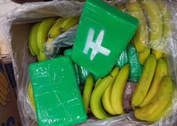 Nga Dritan Rexhepi te Trifon Murataj, media ekuadoriane: Ja shqiptarët që trafikojnë drogë me banane