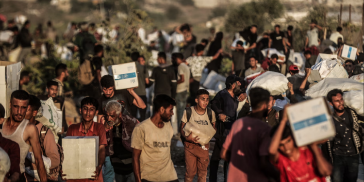 “Skena post-apokaliptike” në Gaza, mjekët përballen me dhunën mes luftës së bandave për ndihmat