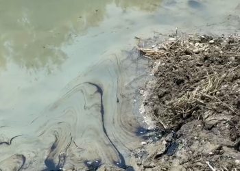 Masakër mjedisore/ Llumi i naftës ‘helmon’ Vjosën!