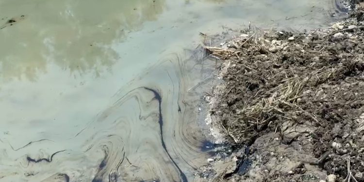 Masakër mjedisore/ Llumi i naftës ‘helmon’ Vjosën!