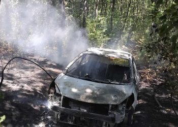 Makina merr flakë në mes të pyllit në Belsh, nuk ka të lënduar