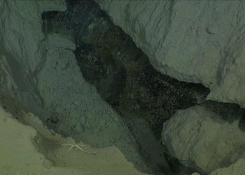 Zbulohen struktura ‘moderne’ në thellësinë e detit Arktik