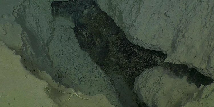 Zbulohen struktura ‘moderne’ në thellësinë e detit Arktik