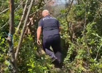 Kontrolle nga toka dhe ajri për kanabis, zbulohet plantacioni