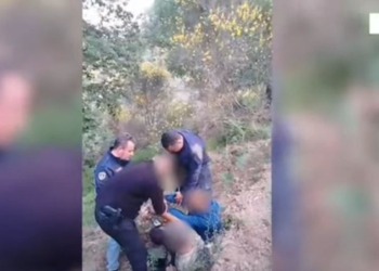 Zbulohen parcelat me rreth 2 mijë rrënjë kanabisi (VIDEO)