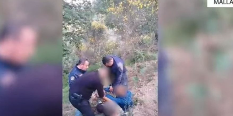 Zbulohen parcelat me rreth 2 mijë rrënjë kanabisi (VIDEO)