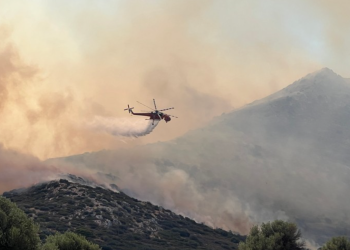 Zjarr i madh pranë Athinës/ Tetë avionë në ndihmë për shuarjen e flakëve