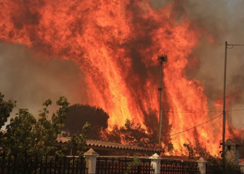 Greqia në flakë, zjarre të fuqishme djegin shtëpi, evakuohen banorë në disa zona