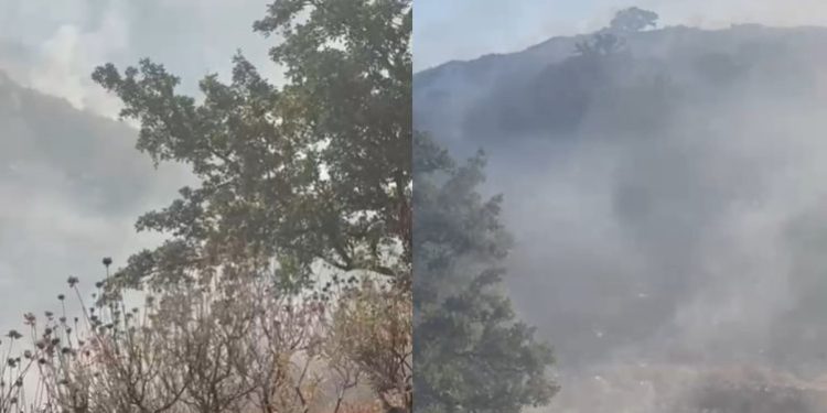 Vijon prej 30 orësh zjarri në Pilur të Himarës, flakët drejt Porto Palermos