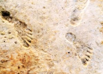 Gjurmët e këmbëve të lashta konfirmojnë se njerëzit arritën në Amerikë mbi 20,000 vjet më parë