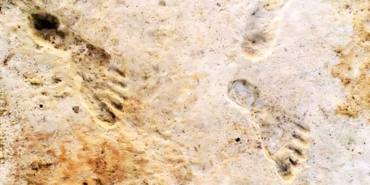 Gjurmët e këmbëve të lashta konfirmojnë se njerëzit arritën në Amerikë mbi 20,000 vjet më parë