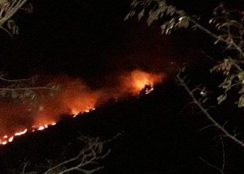 VIDEO / Zjarret në kodrat rreth Ksamilit përpijnë çdo gjë, në luftë me flakët edhe banorët