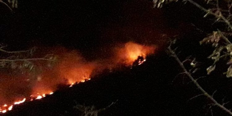 VIDEO / Zjarret në kodrat rreth Ksamilit përpijnë çdo gjë, në luftë me flakët edhe banorët