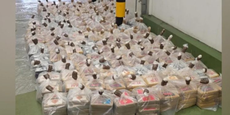 Kapet sasi rekord droge në Mbretërinë e Bashkuar, sekuestrohet kokainë me vlerë 96 mln paund në portin britanik