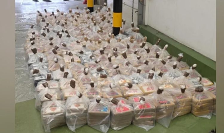Kapet sasi rekord droge në Mbretërinë e Bashkuar, sekuestrohet kokainë me vlerë 96 mln paund në portin britanik
