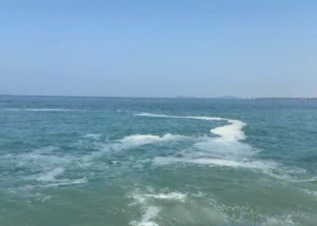 Ndotet vija bregdetare në Vlorë nga ‘Rrapi’ tek vilat, pushuesit kërkojnë ndërhyrje urgjente, dyshohet për…