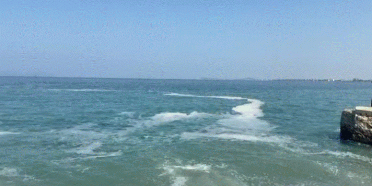 Ndotet vija bregdetare në Vlorë nga ‘Rrapi’ tek vilat, pushuesit kërkojnë ndërhyrje urgjente, dyshohet për…