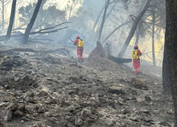 Situata e zjarreve, “Mbrojtja”: Janë raportuar shtatë vatra, dy prej tyre ende aktive