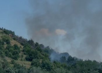 Zjarr afër ish-repartit ushtarak të tankeve në Maliq, shkak temperaturat e larta