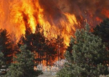 26 vatra zjarri në 24 orët e fundit, AKMC: Janë shuar të gjitha. Rrezik i lartë në 5 qarqe