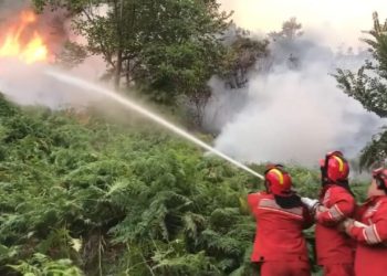 Situata e zjarreve/ MM: 58 vatra gjatë 24 orëve, vetëm një ende aktive