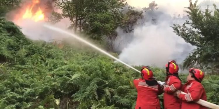 Situata e zjarreve/ MM: 58 vatra gjatë 24 orëve, vetëm një ende aktive