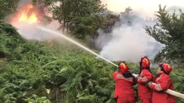 Situata e zjarreve/ MM: 58 vatra gjatë 24 orëve, vetëm një ende aktive