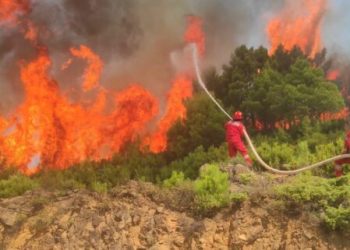 Situata e zjarreve, Ministria e Mbrojtjes jep të dhënat: 18 vatra të shuara në 24 orë