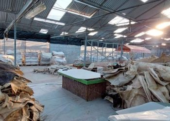 Goditet grupi kriminal në Greqi, në pranga edhe shqiptarë! Si e trafikonin drogën