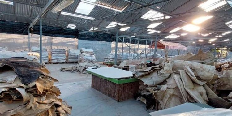 Goditet grupi kriminal në Greqi, në pranga edhe shqiptarë! Si e trafikonin drogën