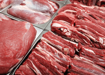 Blegtoria në rënie të lirë/ Shqipëria importoi nga jashtë 300 mln euro bulmet dhe 383 mln euro mish