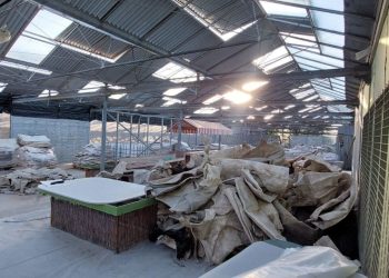 Laboratori i kokainës në Greqi, kush janë 3 shqiptarët e arrestuar