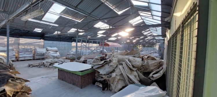 Laboratori i kokainës në Greqi, kush janë 3 shqiptarët e arrestuar