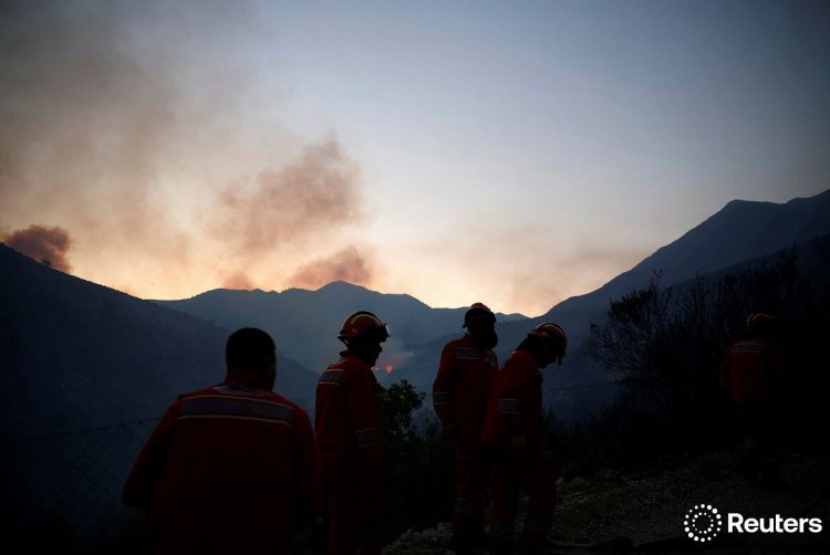 Orë dramatike në Delvinë, Reuters sjell imazhe nga lufta me zjarrin (FOTO)