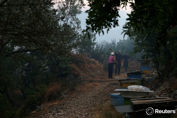 Orë dramatike në Delvinë, Reuters sjell imazhe nga lufta me zjarrin (FOTO)